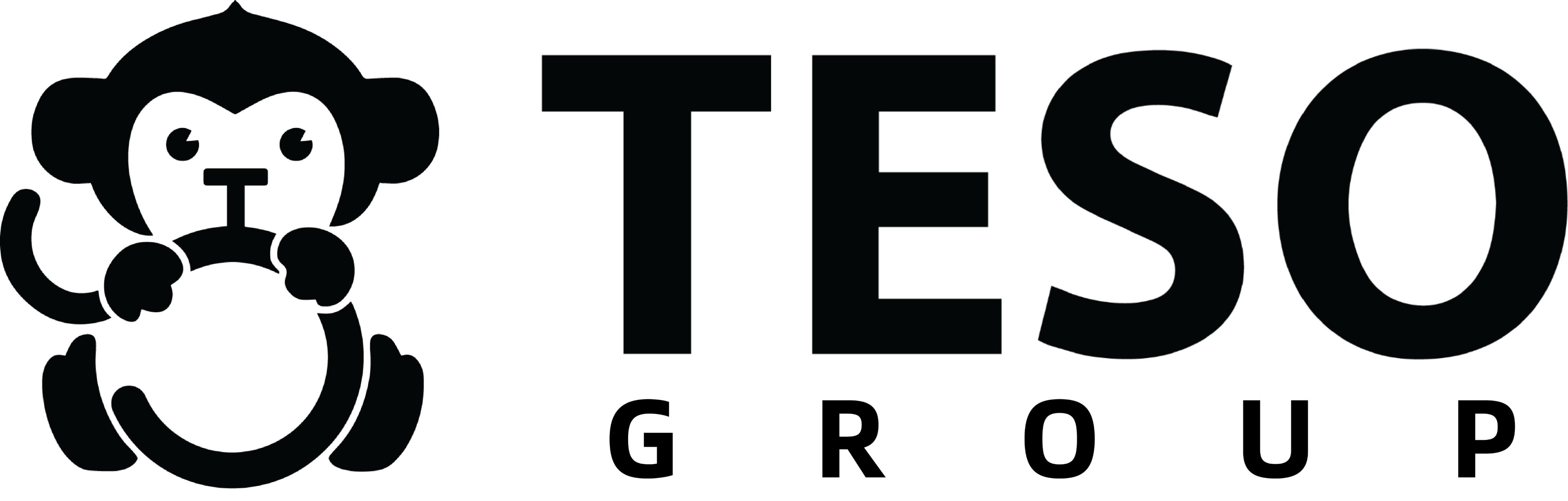 Teso Group Logo