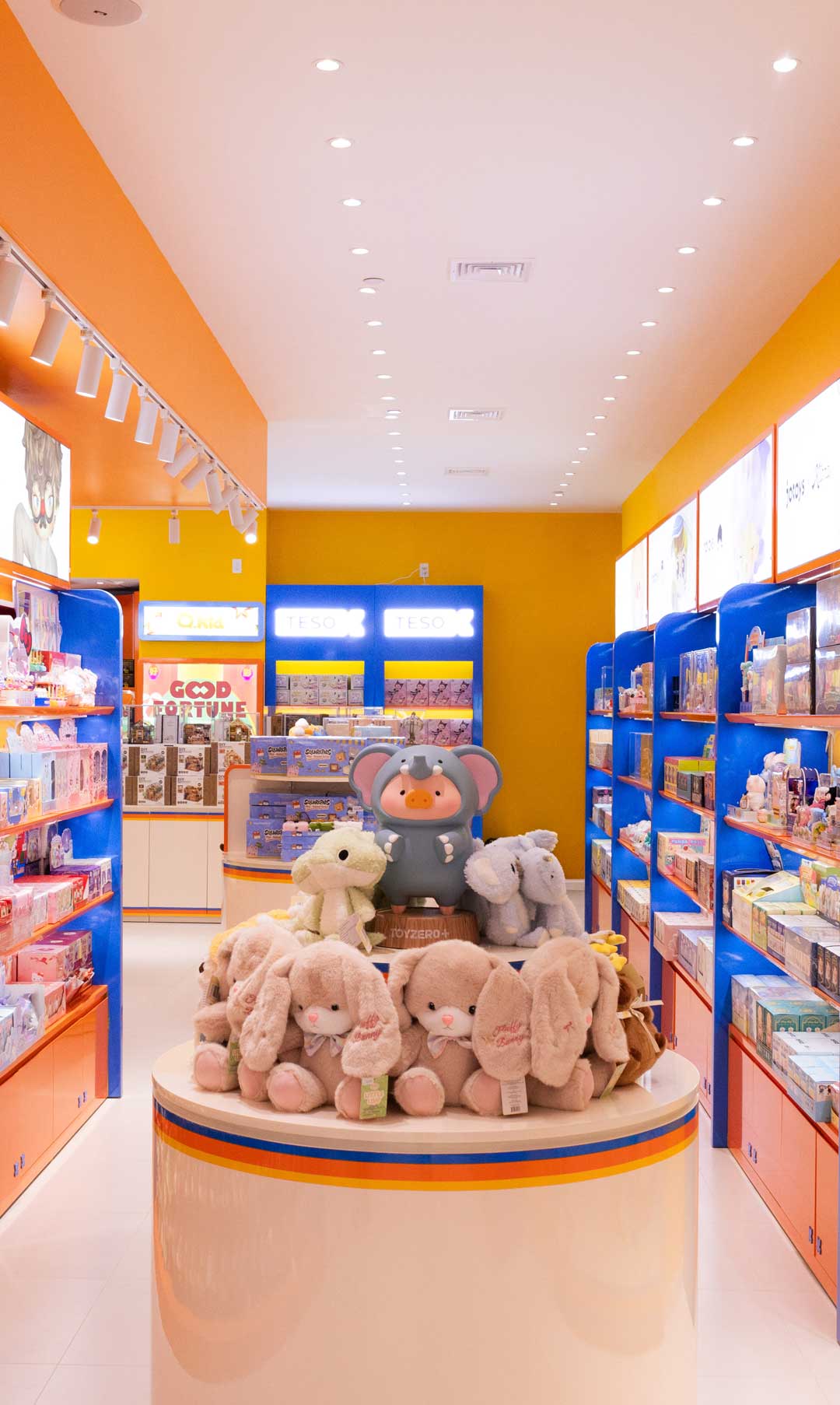 Inside a TESO X store